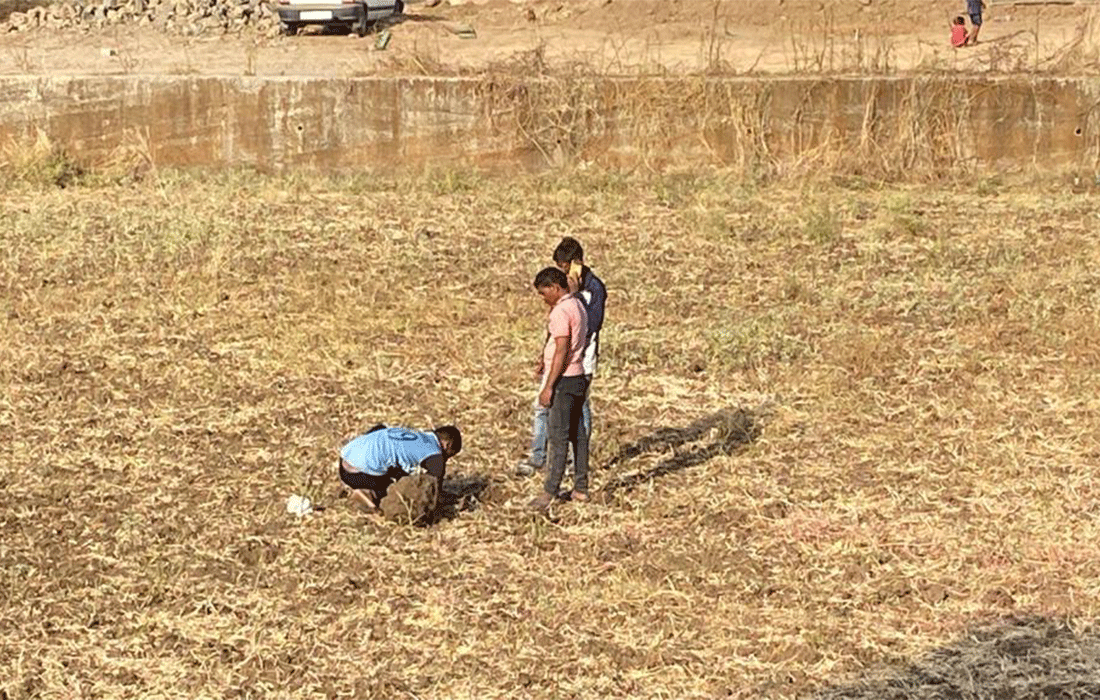 Bluella Agritech Chinchpada Dadra Nagar Haveli